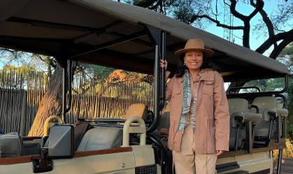 Safári no Botsuana: a exuberante vida selvagem ao lado de elefantes e leões
