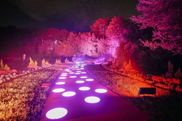 Dazzling Nights é um passeio que brinca com luzes, ideal para toda a família • Divulgação/Dazzling Nights