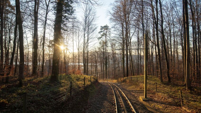 Dolderbahn Railway: a imagem mostra o caminho do bondinho para chegar até o parque • Divulgação/The Dolderbahn Railway