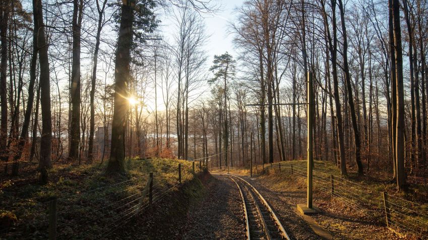 Dolderbahn Railway: a imagem mostra o caminho do bondinho para chegar até o parque • Divulgação/The Dolderbahn Railway