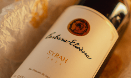 Por que "syrah leve" de vinícola mineira pode ser boa aposta para o verão?