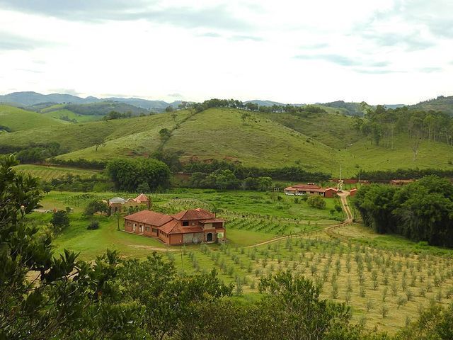 Vista da vinícola Vale do Vinho • Divulgação/Vinícola Vale do Vinho