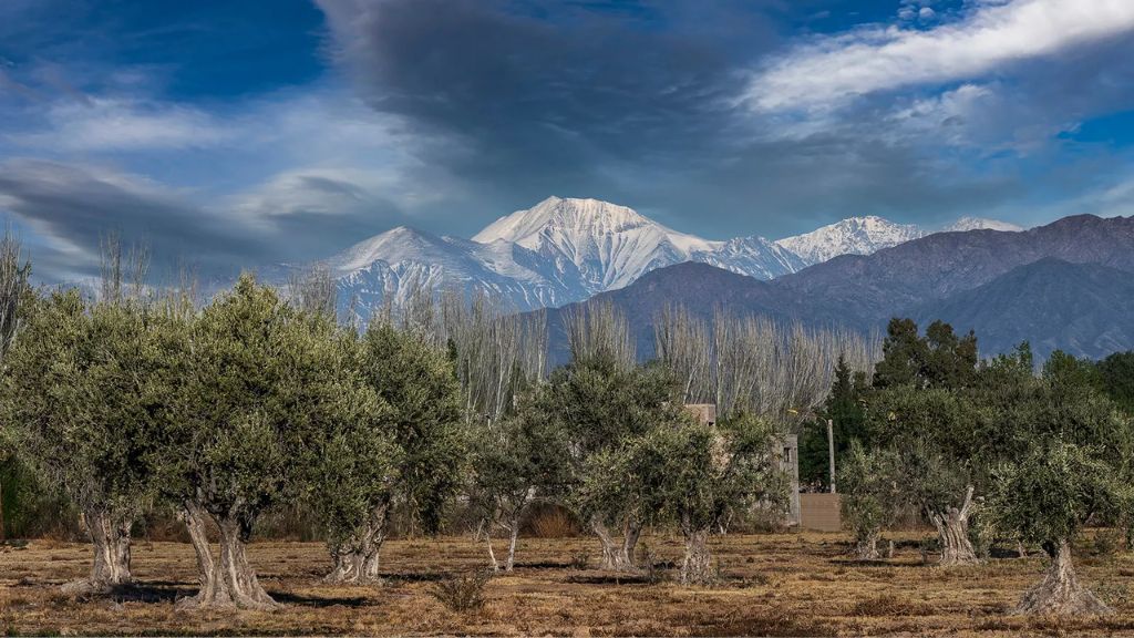 Região de Mendoza, na Argentina, abriga cerca de 1.200 vinícolas, com montanhas dos Andes como pano de fundo • Emetur