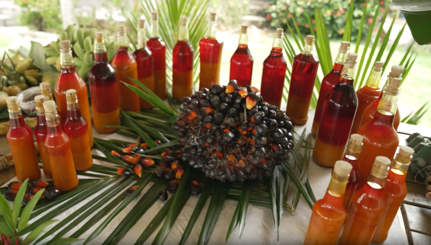 Azeites de dendê provenientes do fruto chamado de caiçara, um dos vários tipos de dendê da Bahia • CNN Viagem & Gastronomia