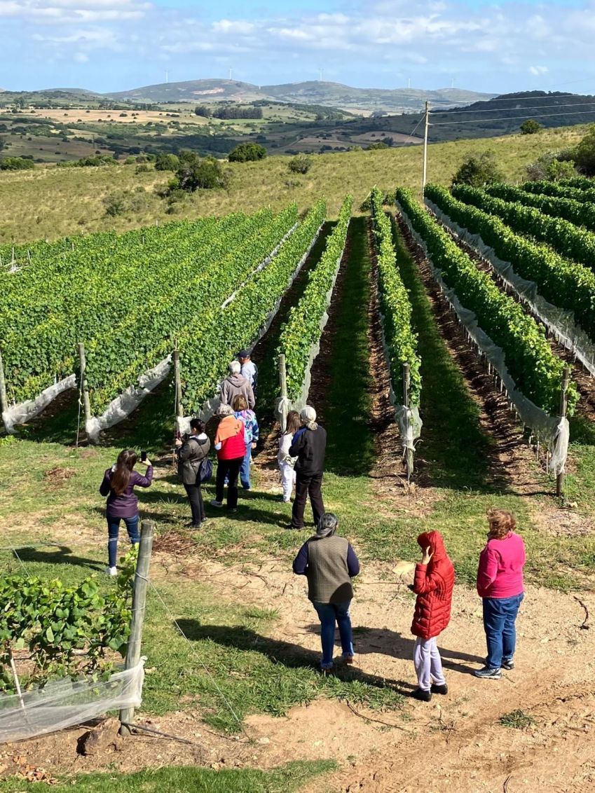 Cofradia de la Sierra terá almoço entre os vinhedos no dia 15 de fevereiro • Divulgação