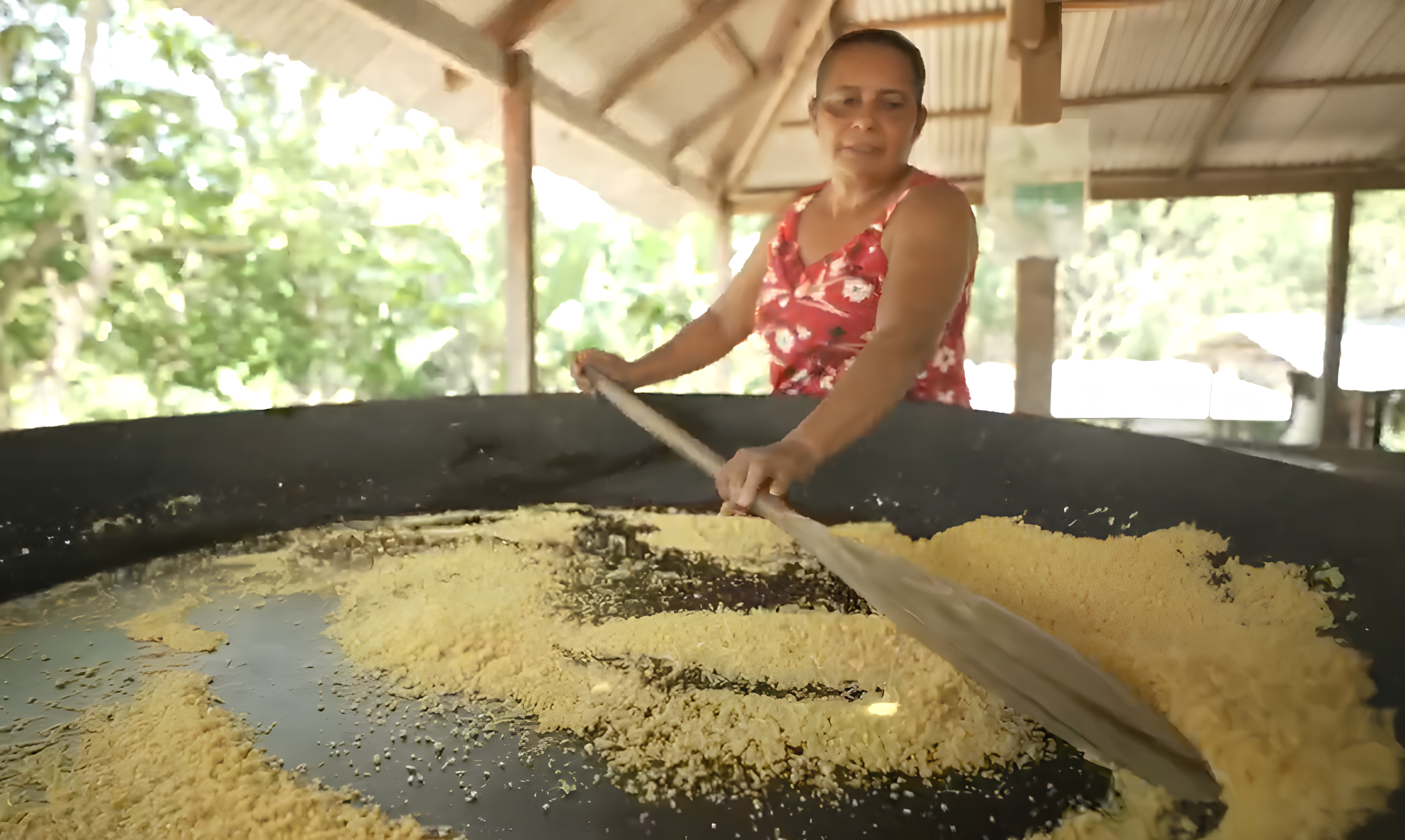 Produção de farinha de mandioca por comunidades ribeirinhas no Rio Negro é forma de sustento e identidade cultural • CNN Viagem & Gastronomia