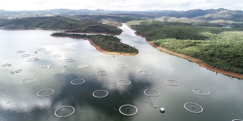 Lake Mantasoa is a site of sturgeon maturation - part of Acipenser's caviar production • Divulgação/Rova Caviar Madagascar