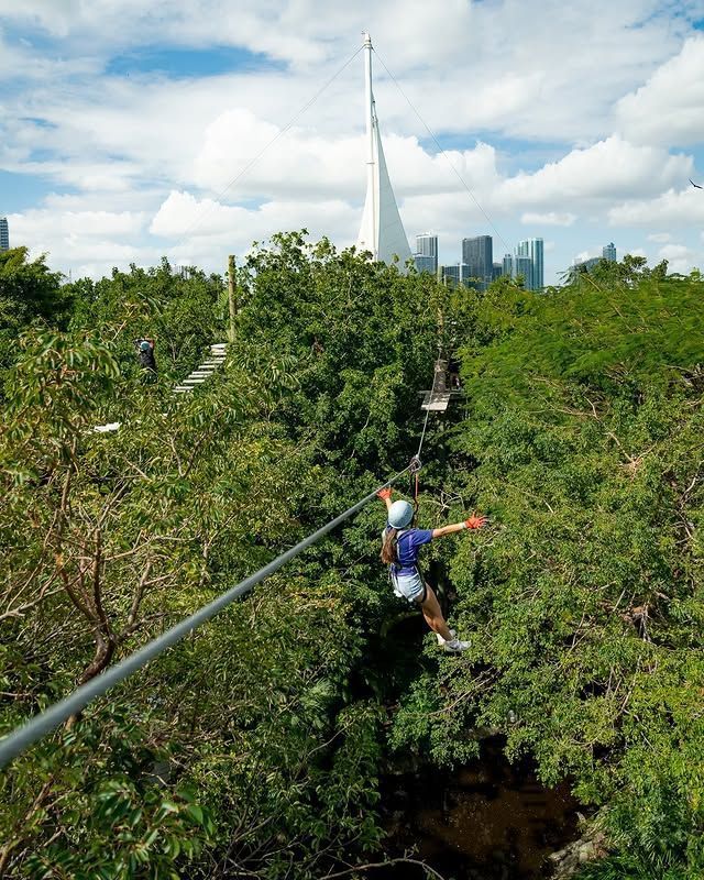 Treetop Trekking Miami é ideal para crianças que gostam de aventura • Divulgação/Treetop Trekking Miami