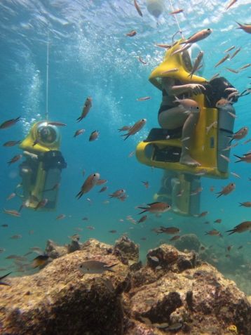 Aquafari • Divulgação/Aquafari