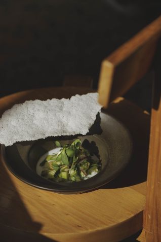 Ceviche de maxixe • Nani Rodrigues