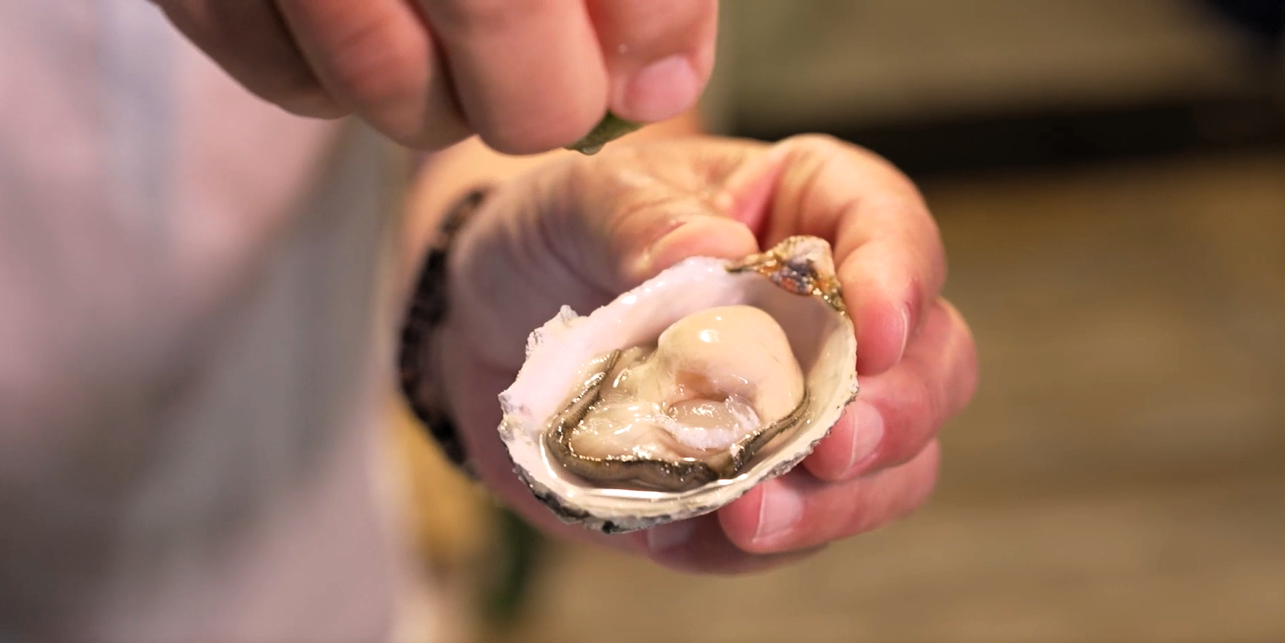 Ostra fresca do restaurante Ostradamus, em Florianópolis