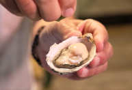 De ostras a peixes frescos, Florianópolis serve um saboroso festim marinho