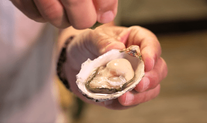 De ostras a peixes frescos, Florianópolis serve um saboroso festim marinho