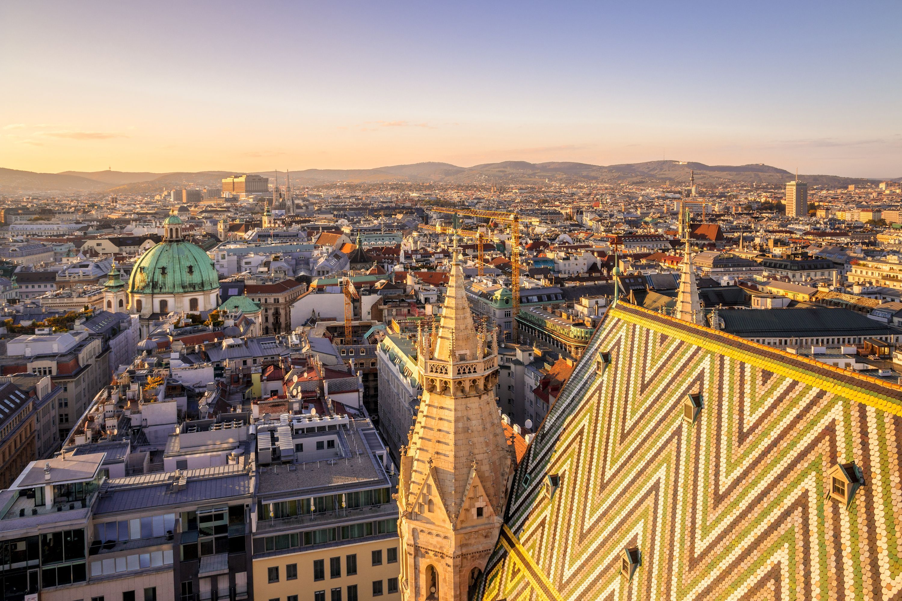 Viena