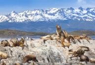 Ushuaia com crianças: 15 programas para curtir em família no fim do mundo