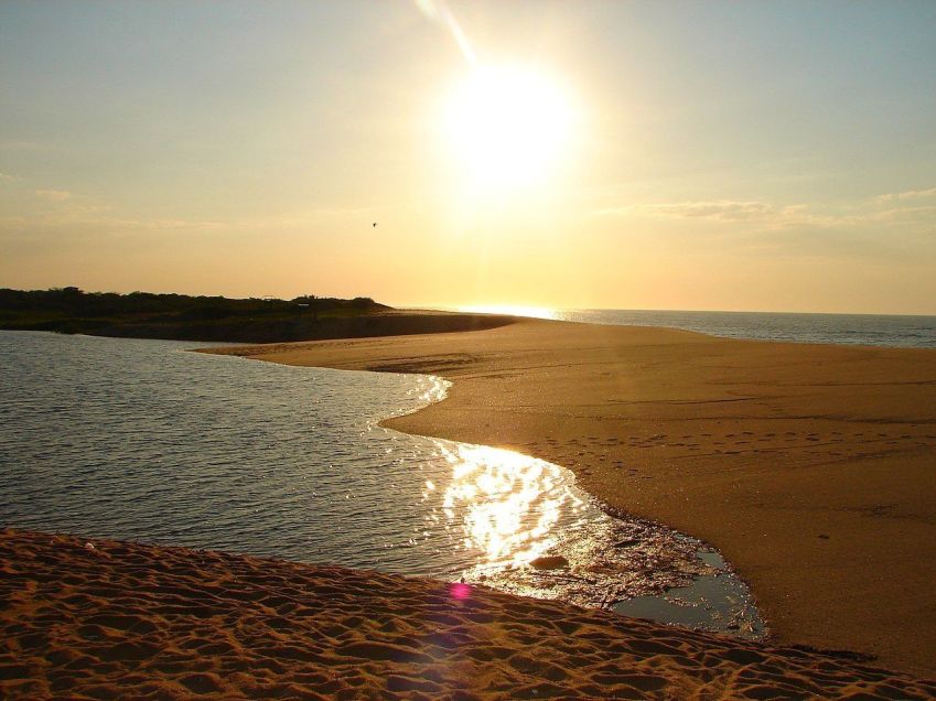 O Parque Nacional da Restinga de Jurubatiba abrange uma região com diversas praias do litoral norte do RJ • Lidia Oliveira/Wikimedia commons