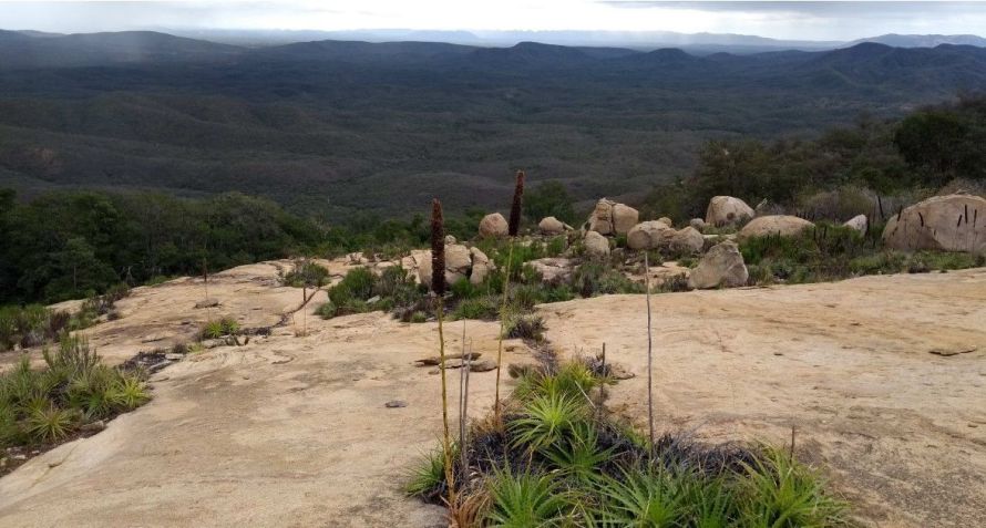 Serra do Teixeira foi o primeiro parque nacional na Paraíba • Divulgação/ICMBio/Ministério do Meio Ambiente