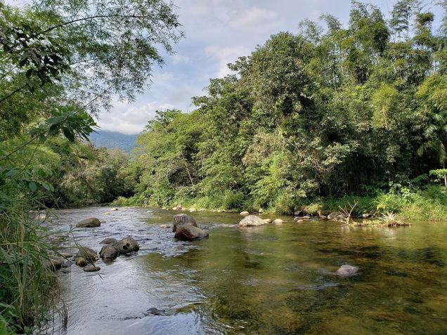Parque Nacional de Guaricana fica no Paraná • Divulgação/ICMBio