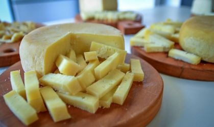 Festival do Queijo Artesanal de Minas ganha nova edição em junho