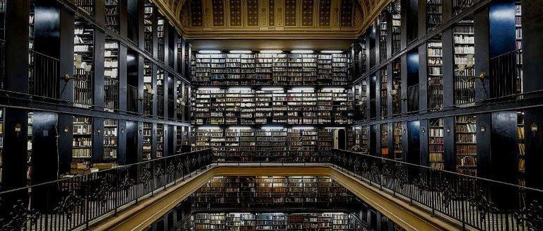 Biblioteca Nacional abriga nove milhões de itens • Divulgação/Fundação Biblioteca Nacional