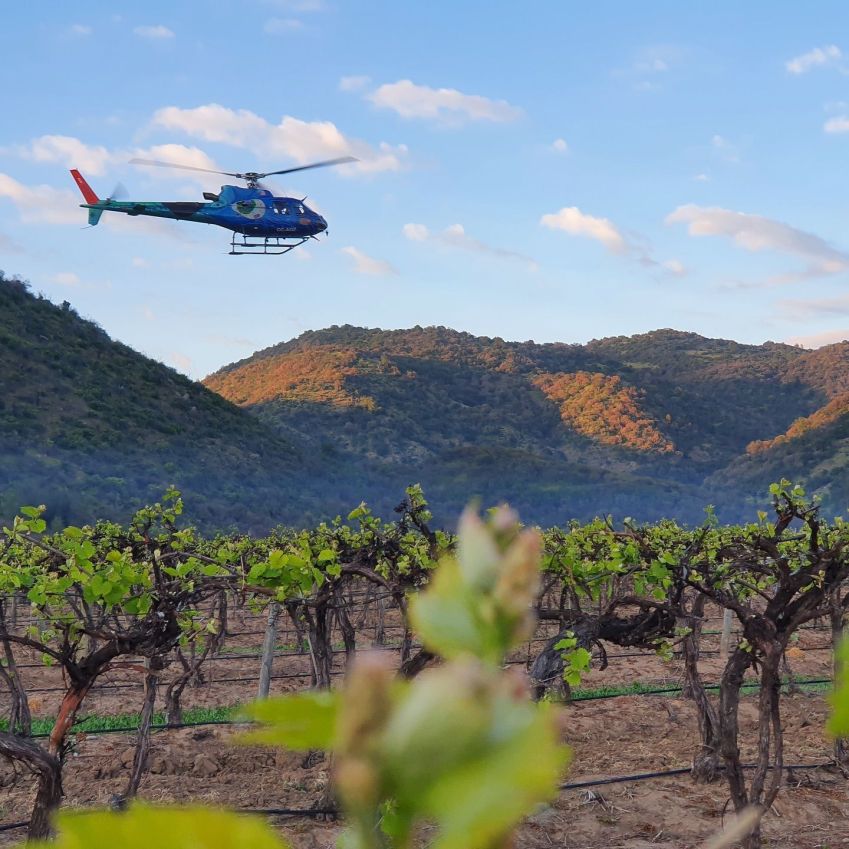 Casas del Bosque oferece passeio de helicóptero pela vinícola • Instagram/Casas del Bosque