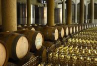 15 vinícolas para conhecer com as crianças no Chile