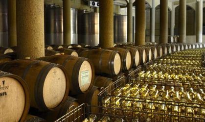 15 vinícolas para conhecer com as crianças no Chile