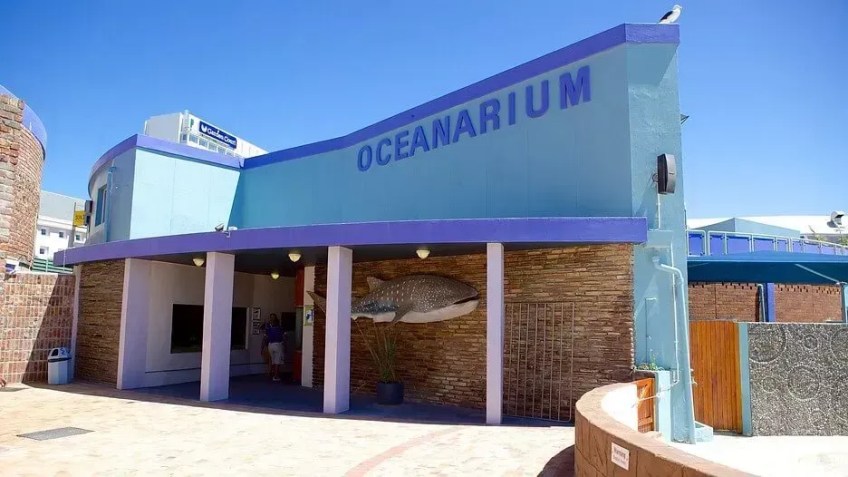 Bayworld é um complexo cultural perto do centro de Port Elizabeth • Divulgação/Bayworld Oceanarium & Museum