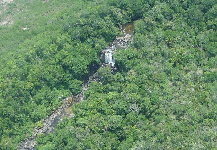 Parque Nacional do Rio Novo fica no Pará • Divulgação/ICMBio