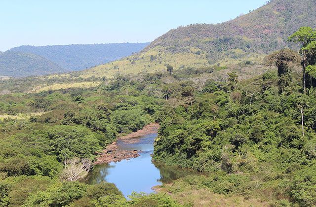 Parque Nacional dos Campos Ferruginosos tem vegetação rara • Divulgação/ICMBio