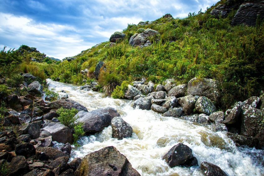 Nascente de rio no Parque Nacional do Itatiaia, onde há nascentes de 12 bacias hidrográficas regionais • Pedro Luz Fotografia/Wikimedia commons