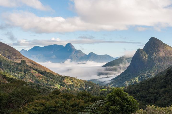 Parque Nacional da Serra dos Órgãos tem mais de 2.800 espécies de plantas e mais de 700 de animais • Valdo Rocha/Wikimedia commons