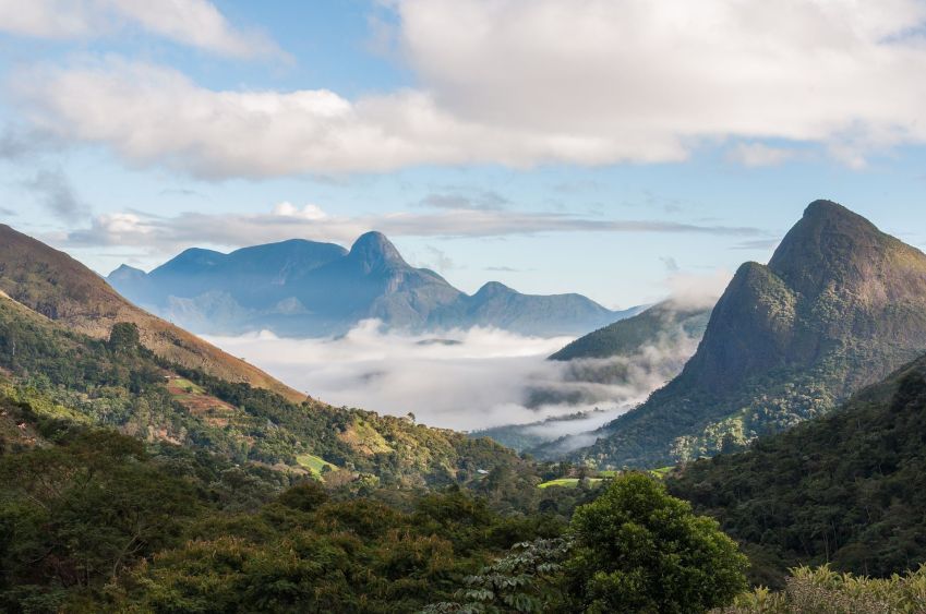 Parque Nacional da Serra dos Órgãos tem mais de 2.800 espécies de plantas e mais de 700 de animais • Valdo Rocha/Wikimedia commons