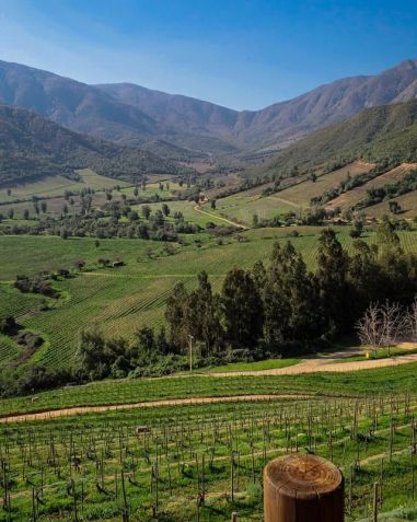 Vinã Ventisquero homenageia a Patagônia chilena • Instagram/Ventisquero