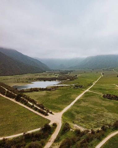 Viñedos Veramonte recebe famílias em Valparaíso • Instagram/Vinedos Veramonte