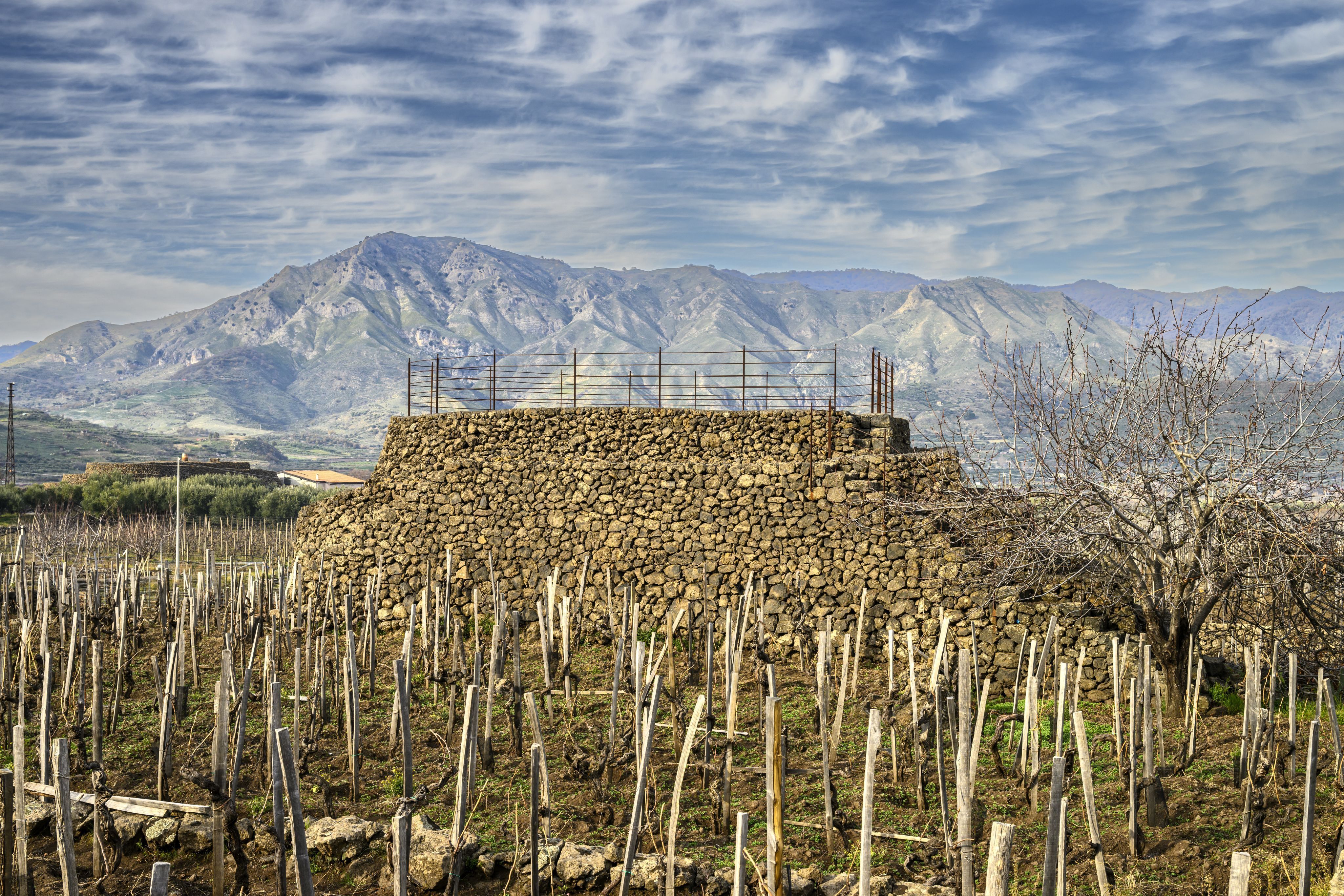 Vinho Vulcanico
