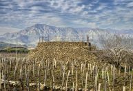 Vinhos do Fogo: seria essa sua próxima obsessão?