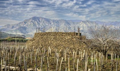 Vinhos do Fogo: seria essa sua próxima obsessão?