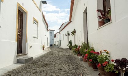 Cidade Europeia do Vinho: Baixo Alentejo sediará programações enoturísticas