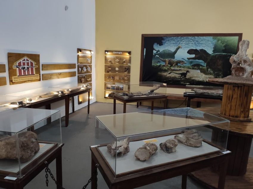 Museu de Paleontologia Pedro Candolo tem mais de 700 fósseis • Facebook/Museu de Paleontologia Pedro Candolo