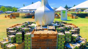 Nos EUA, “capital mundial do alho” tem até festival dedicado ao ingrediente