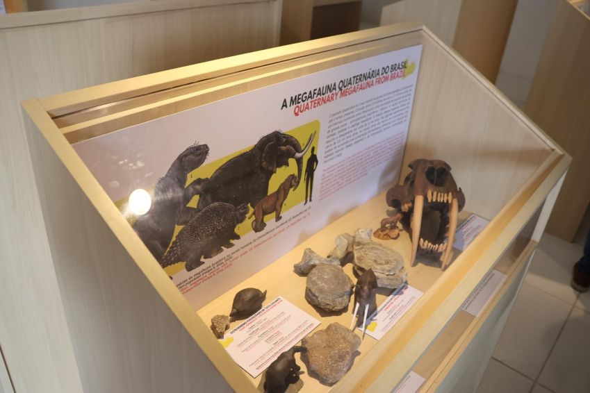 Museu de Paleontologia de Fernandópolis inaugurou no final do ano passado • Divulgação/Prefeitura de Fernandópolis