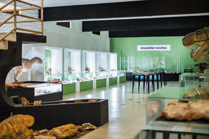 Museu de Paleontologia de Monte Alto tem acervo com fósseis animais e vegetais • Divulgação/Prefeitura de Monte Alto