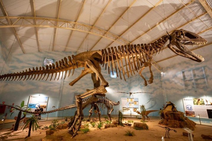 ZooParque reúne 1.200 animais de mais de 180 espécies • Divulgação/ Kleber Fernandes da Cruz