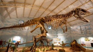 10 cidades em São Paulo para conhecer museus e história dos dinossauros