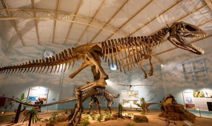 10 cidades em São Paulo para conhecer museus e história dos dinossauros