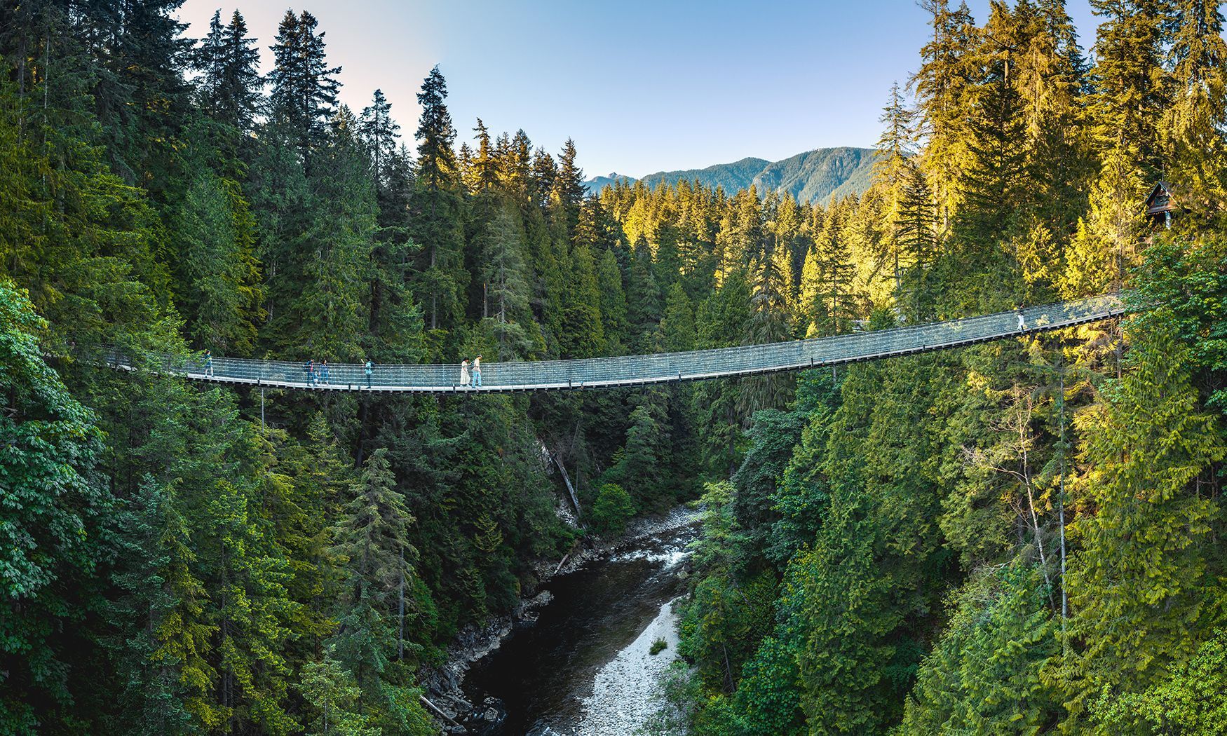 Capilano Suspension Bridge Park tem ponte suspensa como principal atração • Divulgação/Capilano Suspension Bridge Park