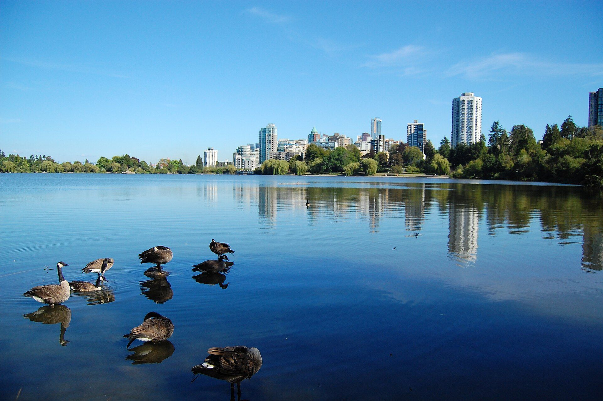 Stanley Park é o maior parque da América do Norte • Wikimedia commons/Zotium