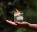 Itacaré sedia festival inédito de coquetelaria com bartenders premiados