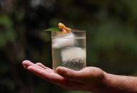 Itacaré sedia festival inédito de coquetelaria com bartenders premiados